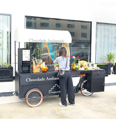Legumi Materie prime Carrello di gelati Commerciale Raffreddatore triciclo Congelatore Carrello di biciclette