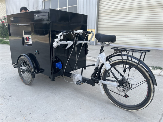 Triciclo alimentare elettrico a pannelli solari per un funzionamento facile e conveniente 277*210*70cm