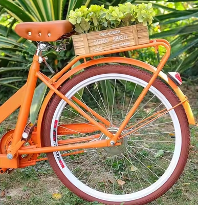 Australia Scooter Food Cart triciclo con materiale di soia e dimensioni compatte