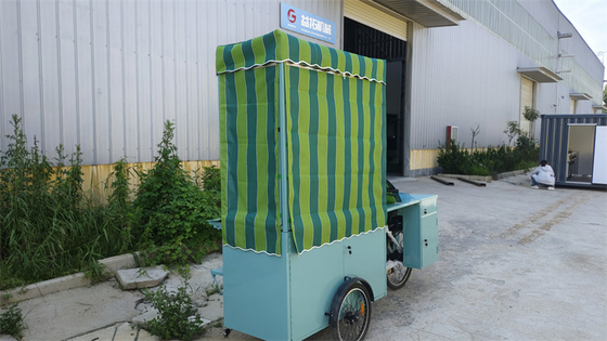 Cucina completa Cucina elettrica gelato camion triciclo per il carico la tua scelta perfetta