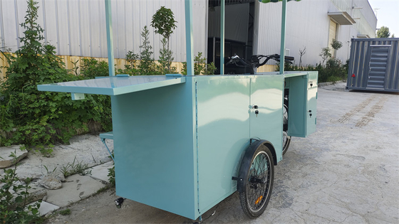 Home Camionetto alimentare triciclo elettrico con caratteristiche convenienti e dimensione 2500*620*2250mm