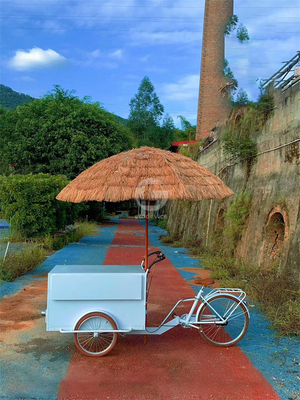 3 ruote gelato bici triciclo carrello alimentare mobile con qualsiasi scelta di variazione di colore