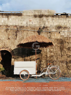 3 ruote gelato bici triciclo carrello alimentare mobile con qualsiasi scelta di variazione di colore