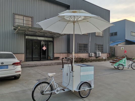 220V/380V Voltage Bike Trailer Cart per la vendita di gelati e frutta fresca