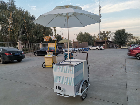 220V/380V Voltage Bike Trailer Cart per la vendita di gelati e frutta fresca