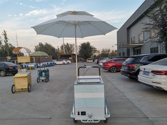 220V/380V Voltage Bike Trailer Cart per la vendita di gelati e frutta fresca