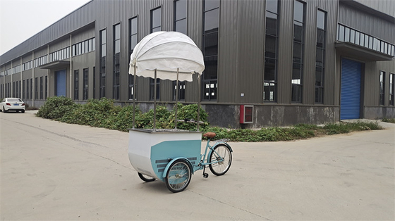 Ice Cream Bike Freezer Mobile Food Bike per il negozio di pollo fritto hamburger pizza BBQ