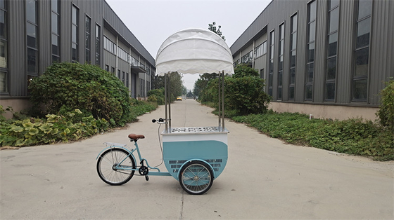 Fornitore diretto di biciclette frigorifere per gelati di colore personalizzato