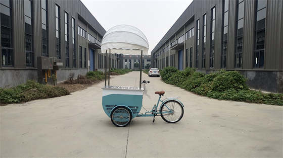 Fornitore diretto di biciclette frigorifere per gelati di colore personalizzato