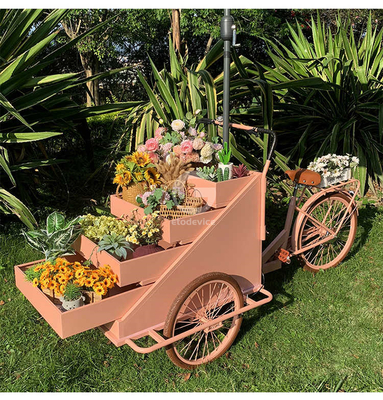 Impianto di trasformazione di ortaggi carrello di bicicletta per caffè mobile con L200.00cm*W95.00cm*H110.00cm