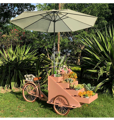Impianto di trasformazione di ortaggi carrello di bicicletta per caffè mobile con L200.00cm*W95.00cm*H110.00cm