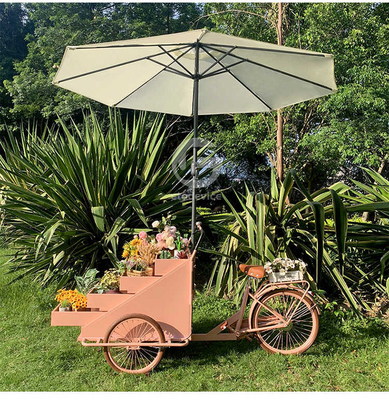 Impianto di trasformazione di ortaggi carrello di bicicletta per caffè mobile con L200.00cm*W95.00cm*H110.00cm