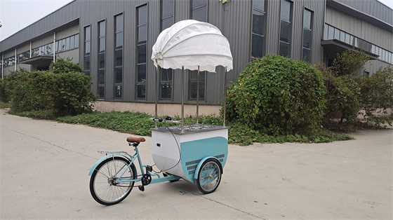 Camioncini alimentari mobili da 100 kg Produzione professionale e facile da usare per l'efficienza
