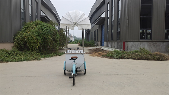 Camioncini alimentari mobili da 100 kg Produzione professionale e facile da usare per l'efficienza
