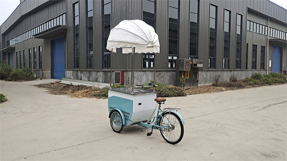 Camioncini alimentari mobili da 100 kg Produzione professionale e facile da usare per l'efficienza
