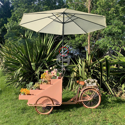 Attività di svago Equipaggiamento per fast food Bici alimentari Autocarro venditore con personalizzazione Accettabile 80 kg