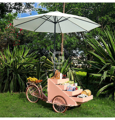 Attività di svago Equipaggiamento per fast food Bici alimentari Autocarro venditore con personalizzazione Accettabile 80 kg