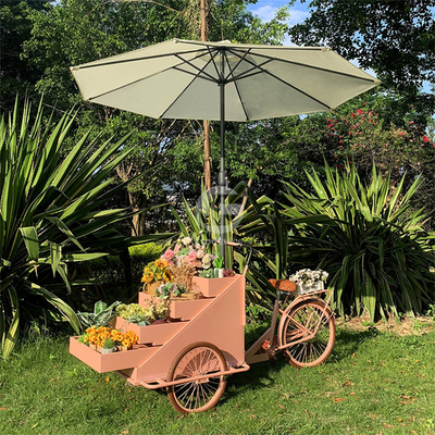 Carrello di vendita di cibo all'aperto con materia prima di soia e bicicletta elettrica a tre ruote