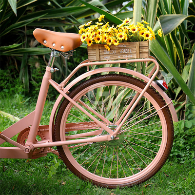 Carrello di vendita di cibo all'aperto con materia prima di soia e bicicletta elettrica a tre ruote