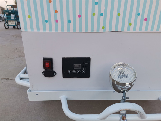100 kg Classic Ice Cream Bike Fast Food Trailer Truck Tricycle per impianto di condimenti