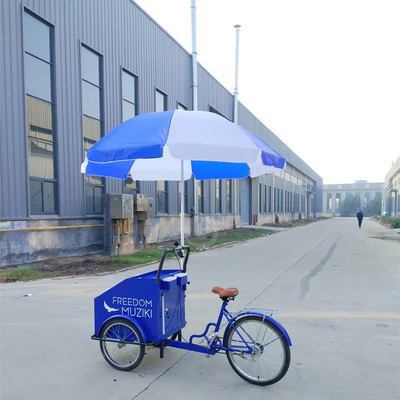 Vegetali personalizzabili Bicicletta alimentare elettrica per venditori di cibo di strada e carrelli di sigarette