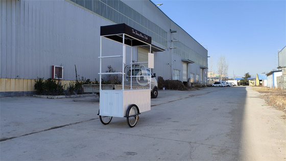 110v/220v Voltage Outdoor Fast Food Kiosk Ice Cream Bike per vendite di snack all'aperto