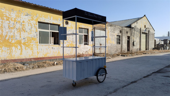110v/220v Voltage Outdoor Fast Food Kiosk Ice Cream Bike per vendite di snack all'aperto