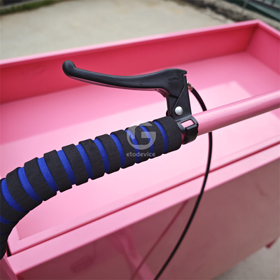 Bicicletta elettrica personalizzata per il pane triciclo mobile OEM per verdure e frutta in conserveria