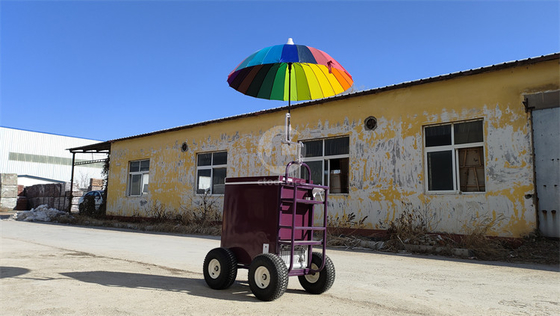 220v/110v carrello mobile per gelato concessionario frigorifero congelatore in impianto di condimenti
