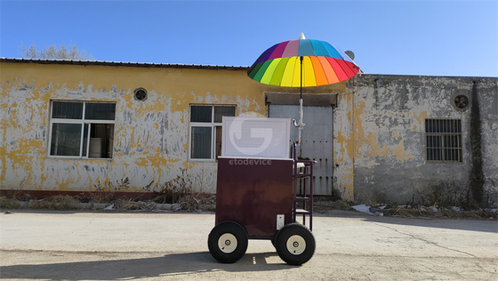 220v/110v carrello mobile per gelato concessionario frigorifero congelatore in impianto di condimenti
