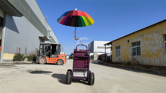 Cartello alimentare a mano per venditori ambulanti 830*650*2200mm Dimensione 220v/110v Voltaggio