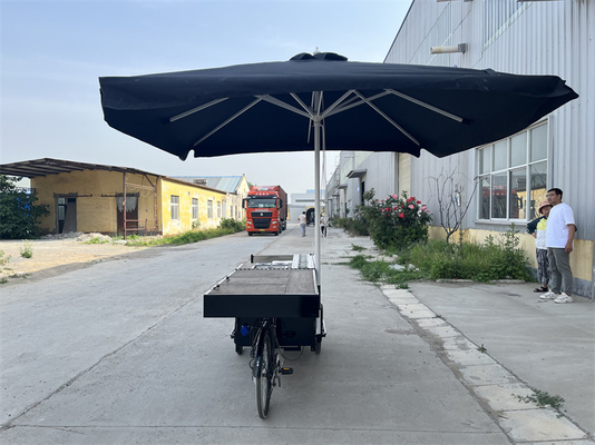 Triciclo mobile pieghevole personalizzato per il fast food per la vendita di snack di carico standard dell'UE
