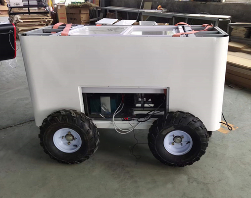 Gelato da Food Bike Cart: la scelta perfetta per un'esperienza di dolce divertente e interattiva