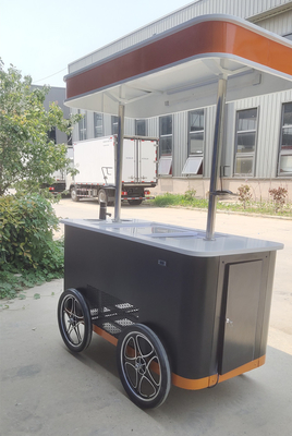 Gelato elettrico Push Food Hand Push raffreddato Popsicle Beach Freezer Ice Cream Cart