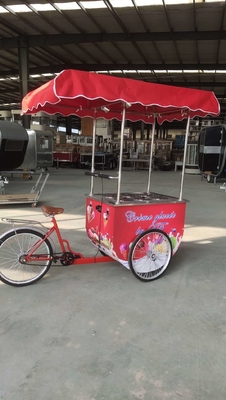 Vendita di fabbrica Hand Push gelato Popsicle Cart cibo Vending bicicletta