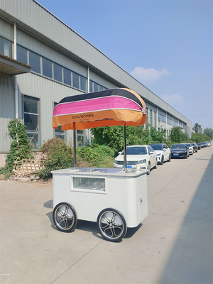 vendita diretta di fabbrica carrello di gelato personalizzato gelato di pietra fredda carrello di gelato