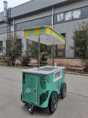 Mini display di gelati surgelati commercializzabili carrello rimorchio gelato messicano di spiaggia gelato congelatore carrello a mano spingere carrelli per gelati