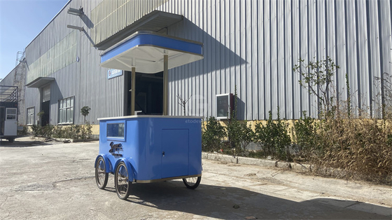 La festa sul ciglio della strada: navigare nel paesaggio delle biciclette a tre ruote alimentari