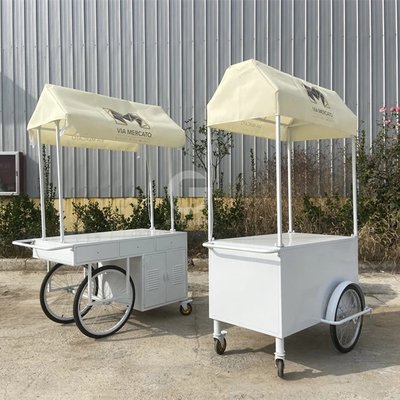 Piccolo carrello elettrico portatile piatto freddo spingere ombrello mini ruota supermercato carrello esterno
