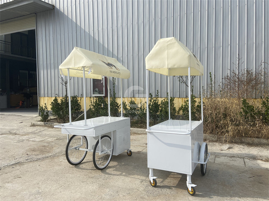 Piccolo carrello elettrico portatile piatto freddo spingere ombrello mini ruota supermercato carrello esterno