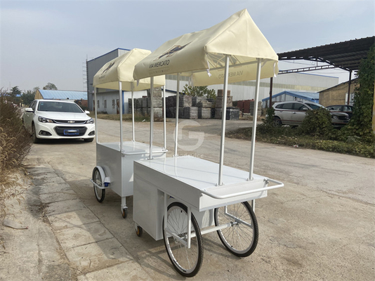 Piccolo carrello elettrico portatile piatto freddo spingere ombrello mini ruota supermercato carrello esterno