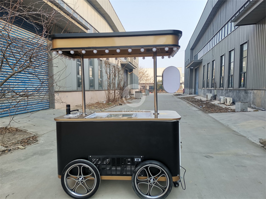 2024 nuovo tipo Mobile Italian gelato hand push cart con display freezer Gelato stand cart