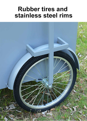 Custom 3 Wheel Cargo Bike Hand Push Cart Street Food Delivery Bike con display Freezer in vendita