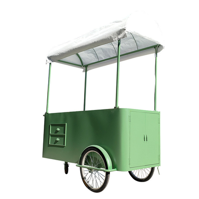 Custom 3 Wheel Cargo Bike Hand Push Cart Street Food Delivery Bike con display Freezer in vendita