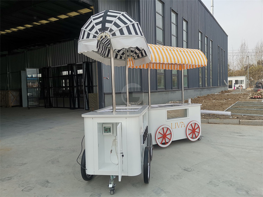 Carrello di vendite di gelati da spiaggia Carrello di gelati con vetrina del frigorifero
