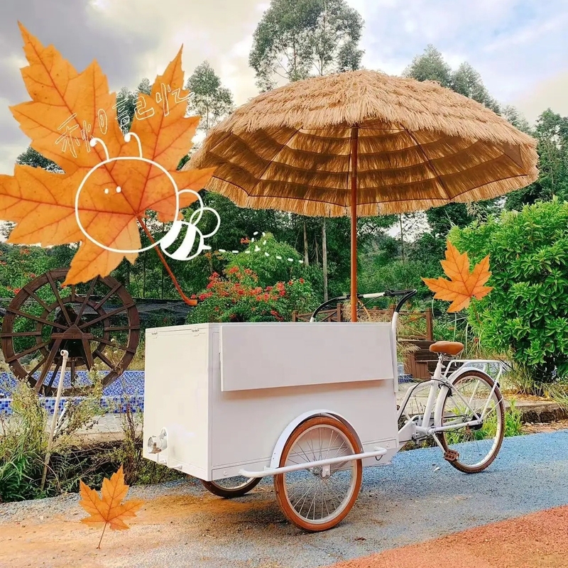 Camionetti mobili per biciclette per cibo Camionetti per biciclette per noccioline Camionetti alimentari per snack con e Camionetti mobili per hot dog