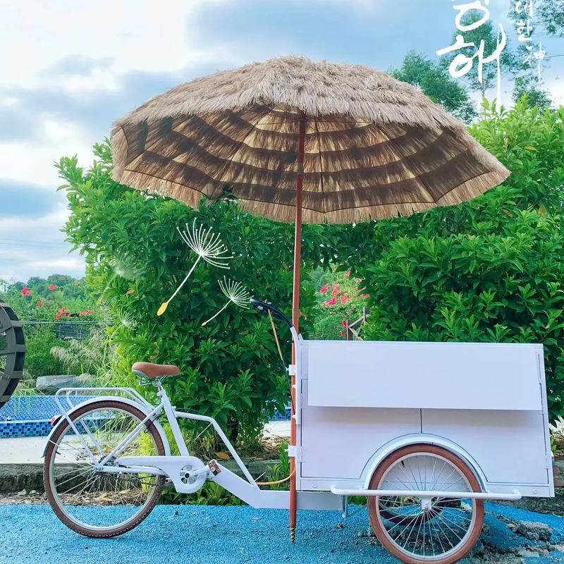 100 kg Retro Coffee Bike per strada Mobile Coffee Trike Shop Bicicleta Fast Food Cart Bicicleta