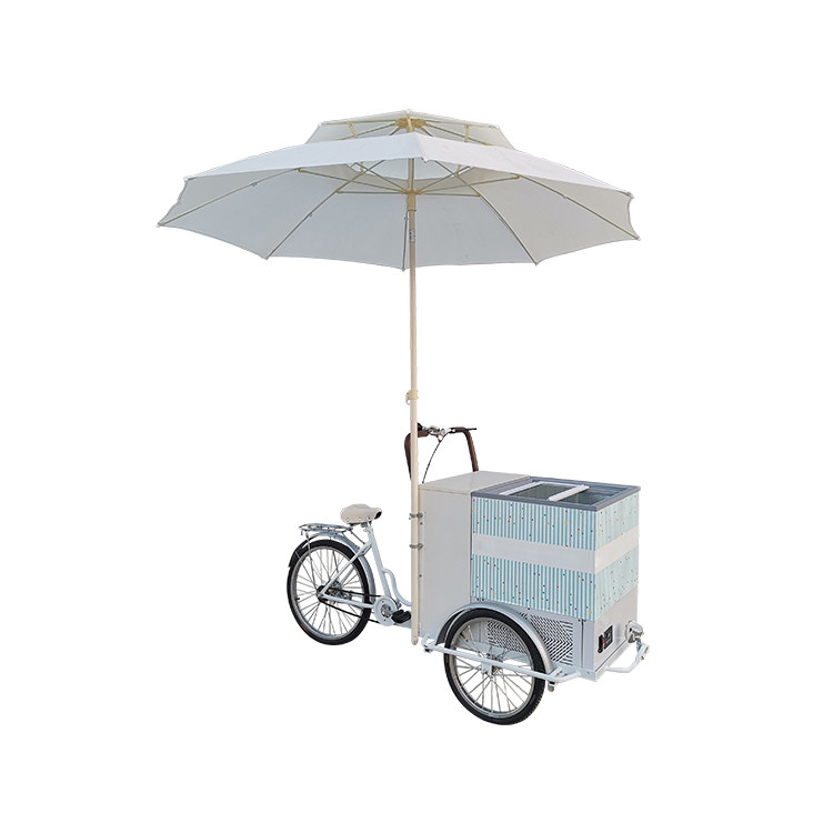 220V/380V Voltage Bike Trailer Cart per la vendita di gelati e frutta fresca