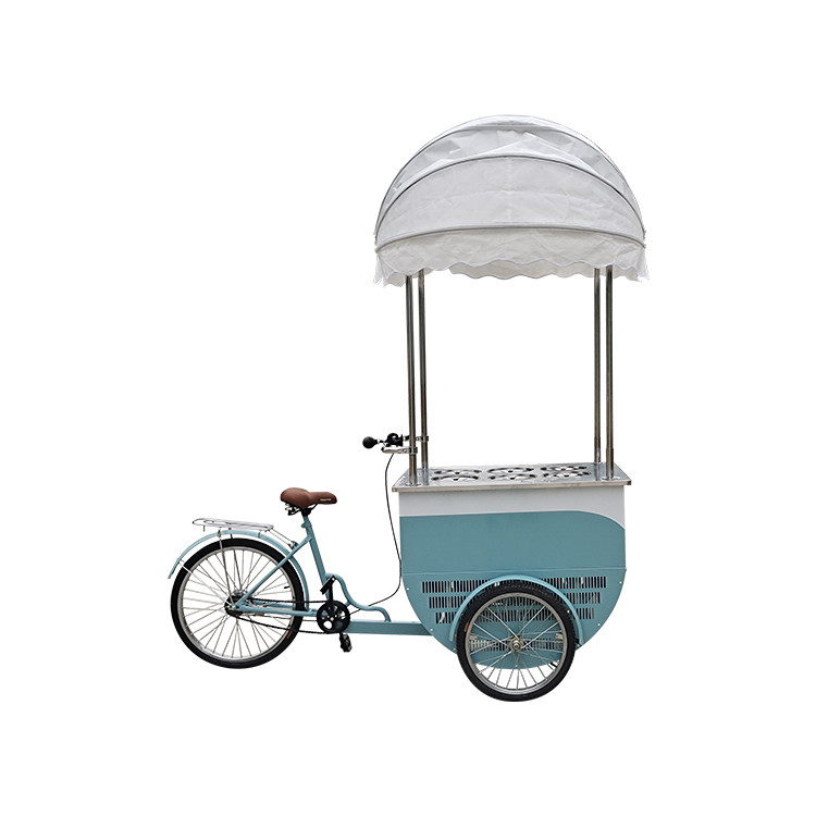 Fornitore diretto di biciclette frigorifere per gelati di colore personalizzato