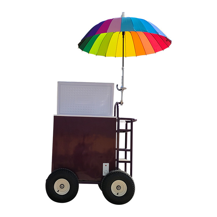 220v/110v carrello mobile per gelato concessionario frigorifero congelatore in impianto di condimenti